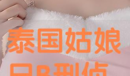 日本b视频,热门视频背后的文化魅力